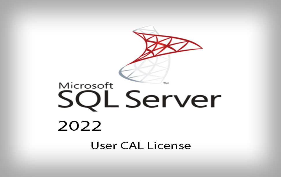 SQL Server 2022 User CAL License